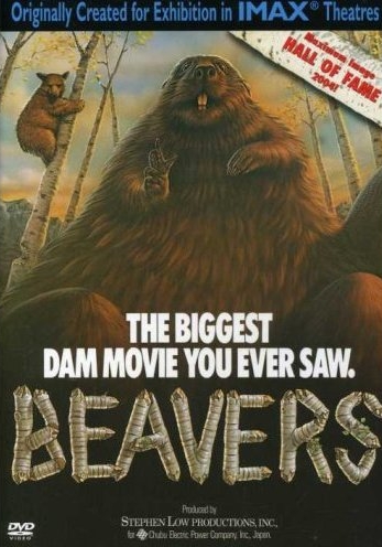 36beavers.jpg